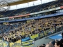 Frankfurt - Eintracht (20.Spieltag 13/14)